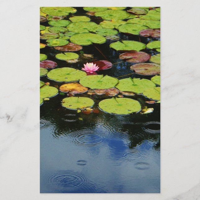 Lámina Lloto rosa en lluvia (Anverso)