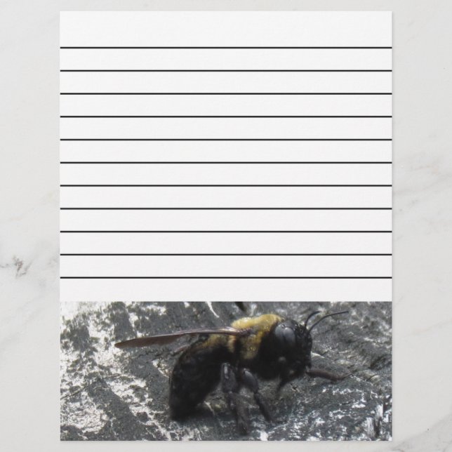 Lámina Lluvias (Anverso)