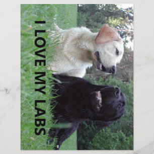 Lámina LR I Love My Labs with picture