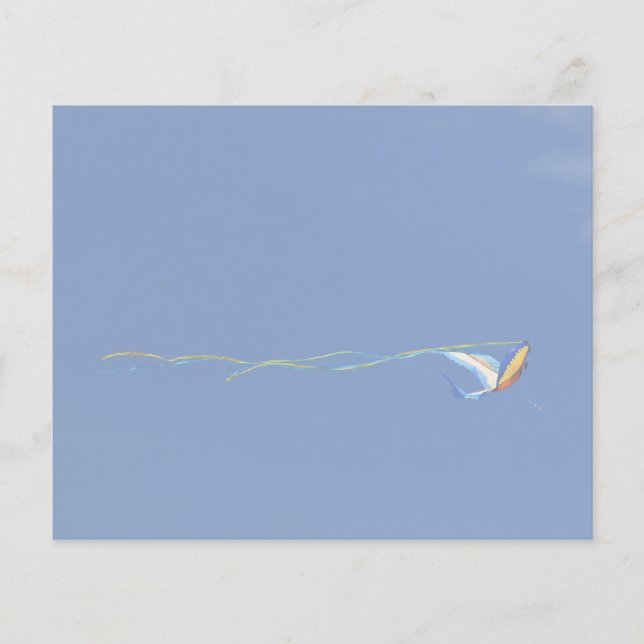 Lámina Macaw Kite (Anverso)