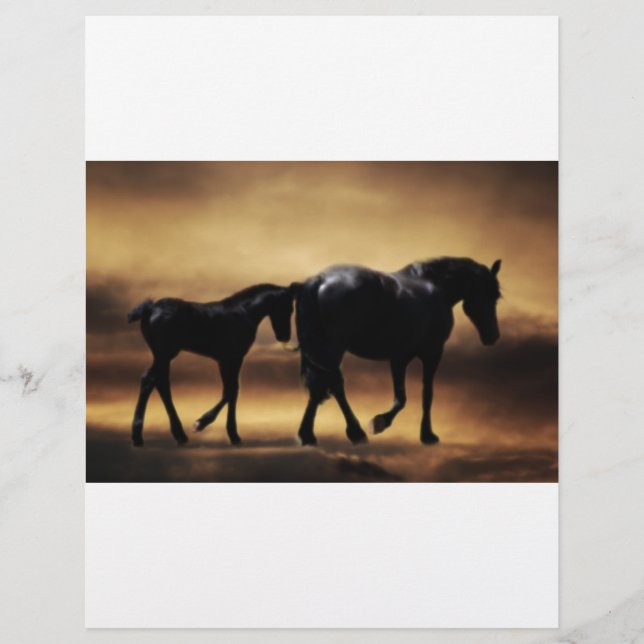 Lámina Madre de los caballos y yo (Anverso)