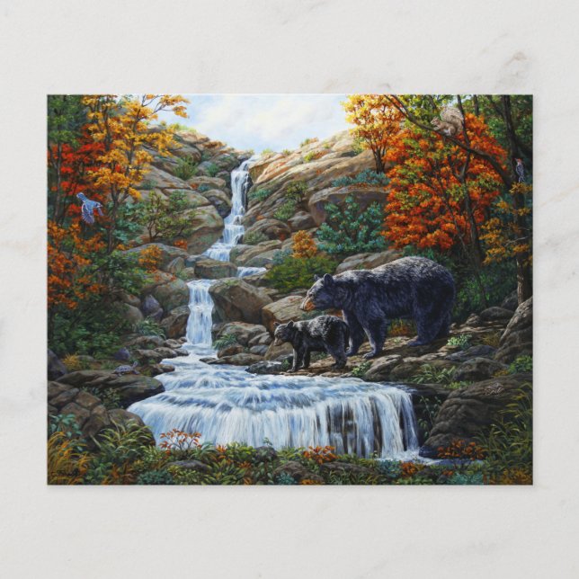 Lámina Madre de oso negro y cascada (Anverso)