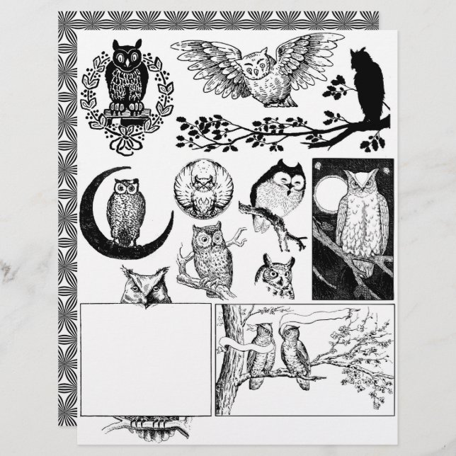 Lámina Magníficos dibujos de búhos en línea blanca y negr (Anverso / Reverso)