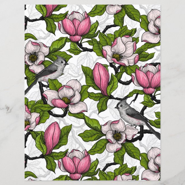 Lámina Magnolia floreciente (Anverso)