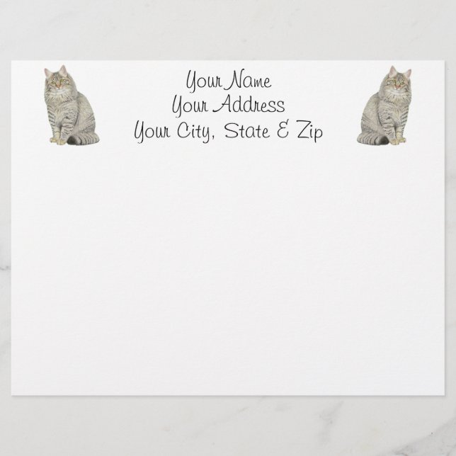 Lámina Maine Coon Cat (Anverso)