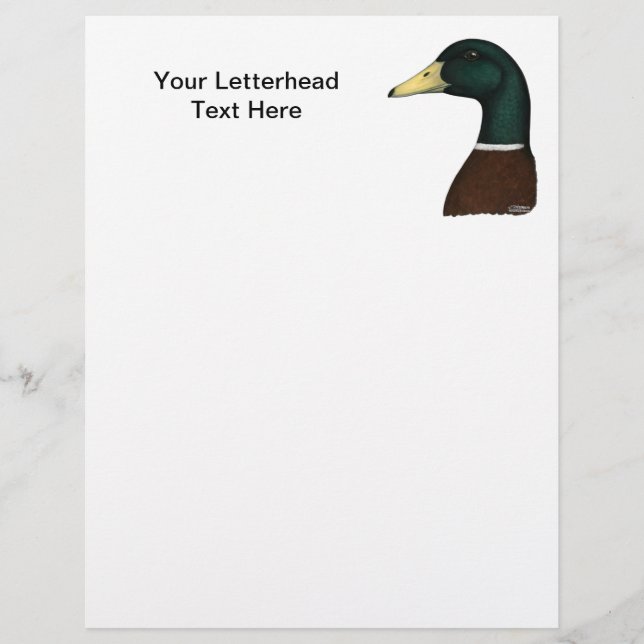 Lámina Mallard Drake Head (Anverso)