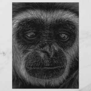 Lámina Mamífero de la fauna salvaje de Gibbon indonesia
