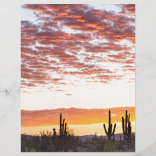 Lámina Mañana colorida amanecer en el desierto de Sonoran