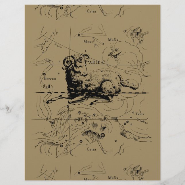 Lámina Mapa de constelación de Aries Hevelius 1690 (Anverso)