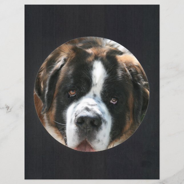 Lámina Marco de foto de círculo negro (Anverso)