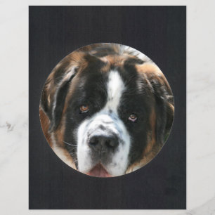 Lámina Marco de foto de círculo negro