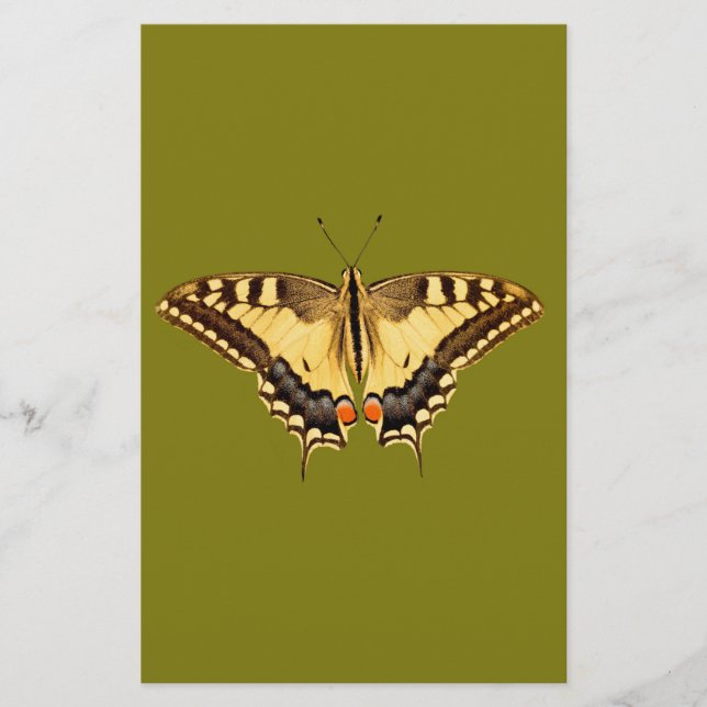 Lámina Mariposa bailarina (Anverso)