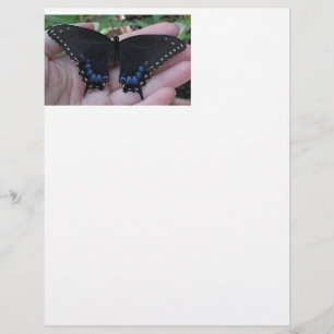 Lámina Mariposa Black Swallowtail #1-membterhead