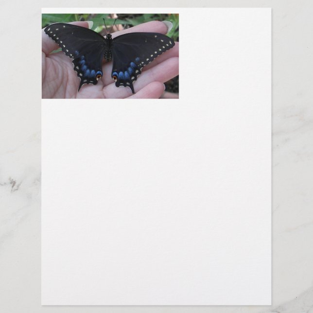 Lámina Mariposa Black Swallowtail #1-membterhead (Anverso)