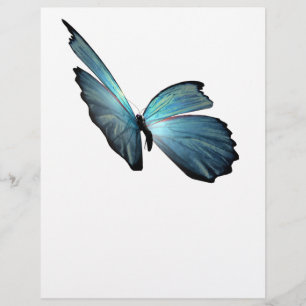 Lámina Mariposa morfa azul