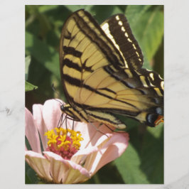 Lámina Mariposa y flor