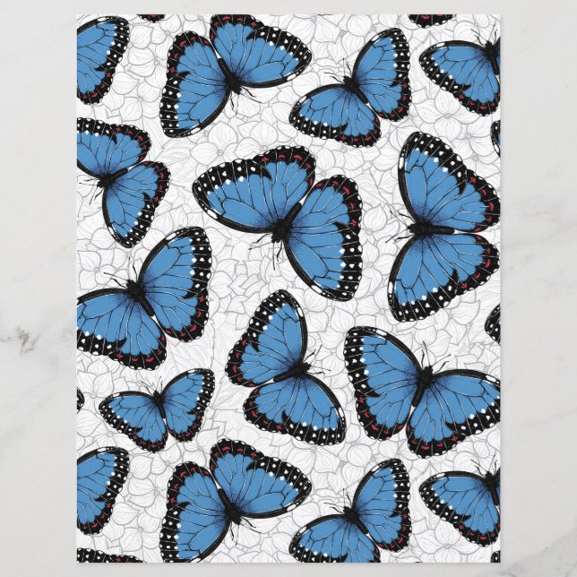 Lámina Mariposas morfo azules (Anverso)