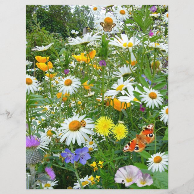 Lámina Mariposas y flores silvestres (Anverso)