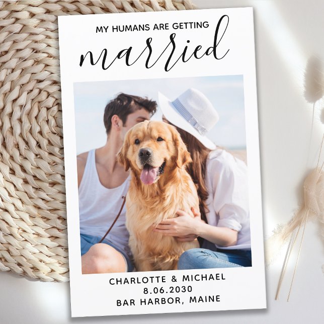 Lámina Mascota Boda de Perros Mis Humanos Se Casan (Subido por el creador)