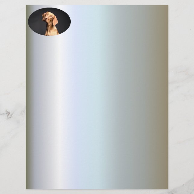 Lámina Mascota Brown Beagle Dog (Anverso)