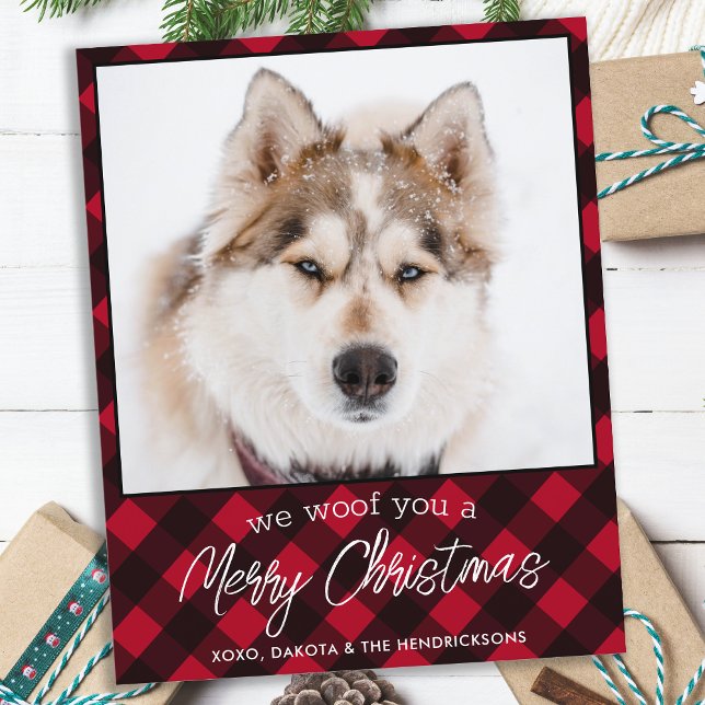 Lámina Mascota de presupuesto Foto Perro Red Plaid Merry  (Subido por el creador)