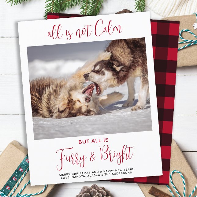 Lámina Mascota de presupuesto gracioso: Navidades fotográ (Subido por el creador)