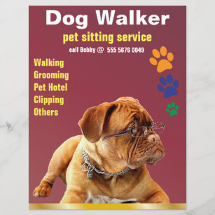 Lámina Mascota Sitting Service Dog Walker Volante confiab
