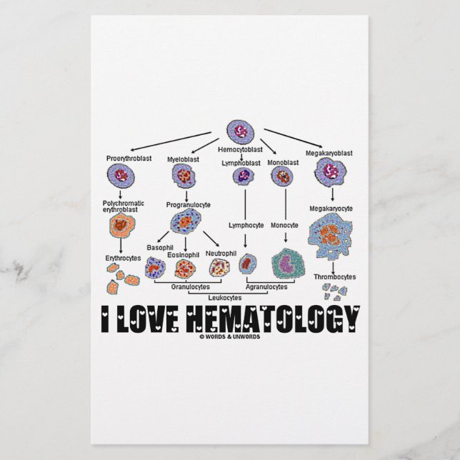 Lámina Me Encanta La Hematología (Linaje De Células Sangr (Anverso)