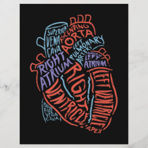 Lámina Médica de Anatomía Especializada en el Corazón Bio