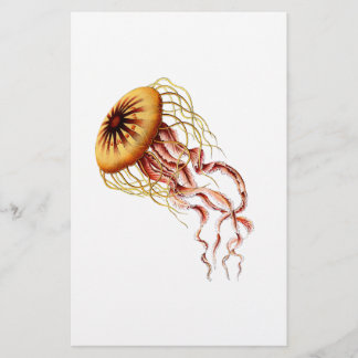 Lámina medusa