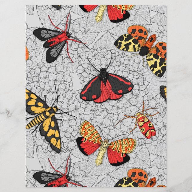 Lámina Metas de hidrangea (Anverso)