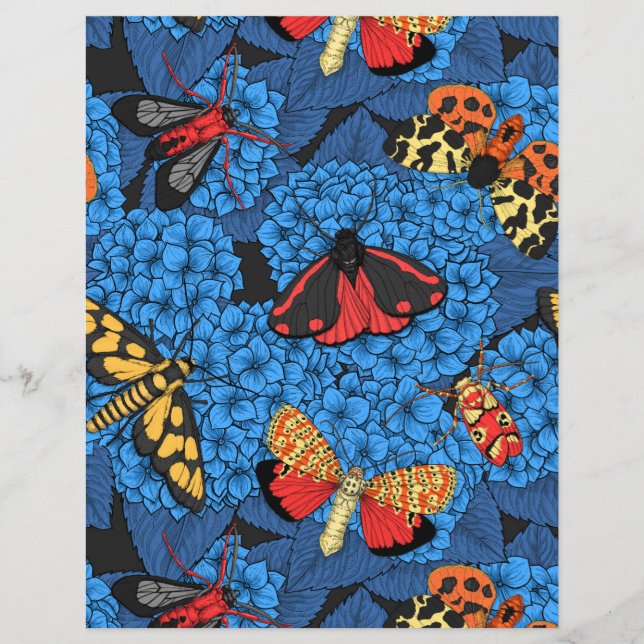 Lámina Metas en la hidrangea azul (Anverso)