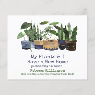 Lámina Mis Plantas & Yo tenemos nueva dirección Cambio