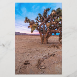Lámina Mojave Joshua Tree