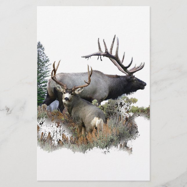 Lámina Monster buck (Anverso)