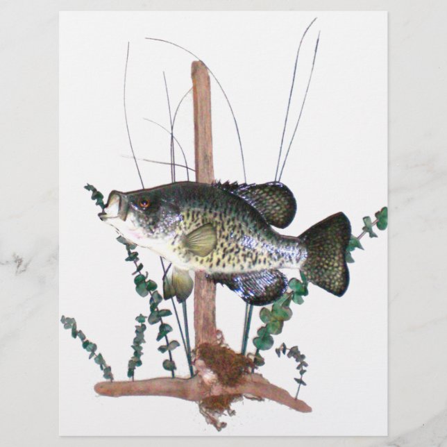 Lámina Montaje de Crappie (Anverso)