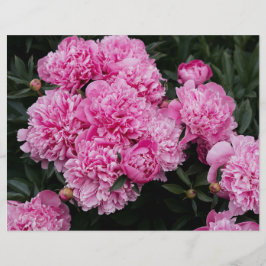 Lámina Moody and elegant pink peony  Scrapbook Paper
