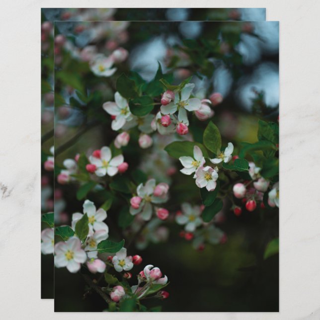 Lámina Moody apple tree blooms Scrapbook Paper (Anverso / Reverso)