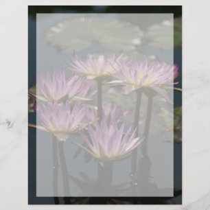 Lámina Morple Lotus Waterlilies