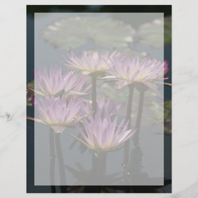 Lámina Morple Lotus Waterlilies (Anverso)