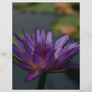 Lámina Morple Waterlily
