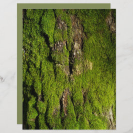Lámina Moss on tree bark scrapbook paper