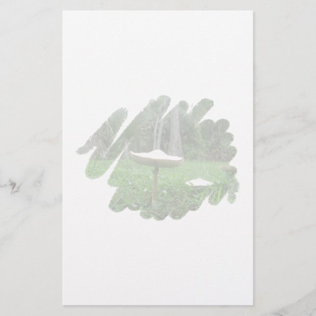LÁMINA MUSHROOM (Anverso)