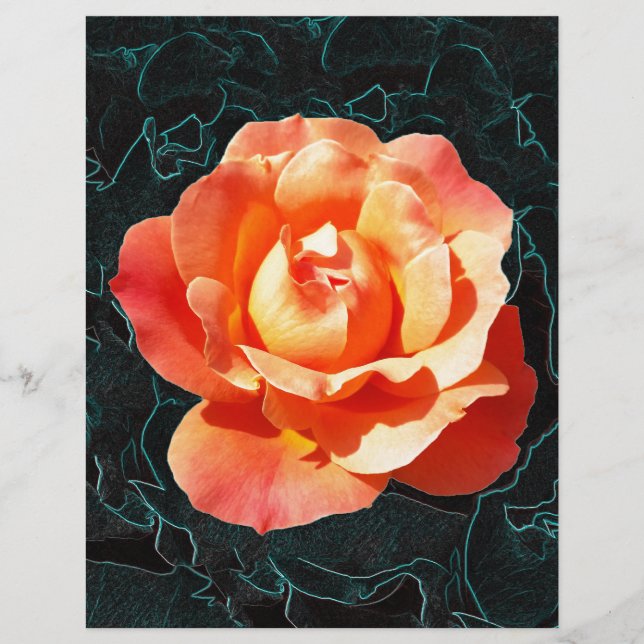 Lámina Naranja brillante rosa (Anverso)