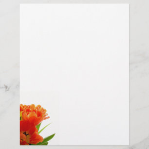 Lámina Naranja Tulips Letterhead