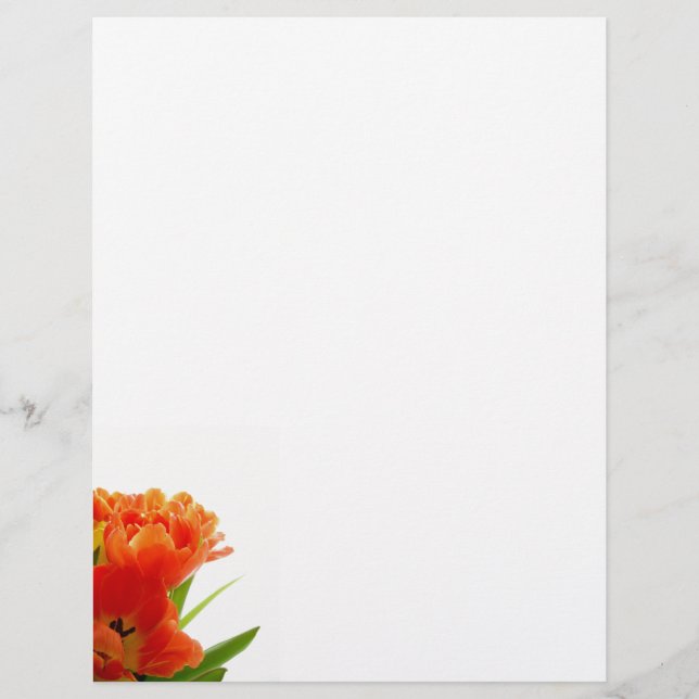 Lámina Naranja Tulips Letterhead (Anverso)