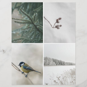 Lámina Naturaleza de invierno: papel recortable para álbu