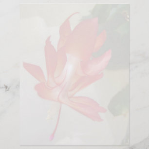 Lámina Navidades Cactus Letterhead