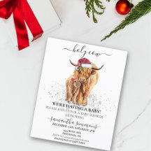 Navidades de Baby Shower de presupuesto de Holy Co