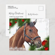 Navidades de caballos de presupuesto Equine Cute P